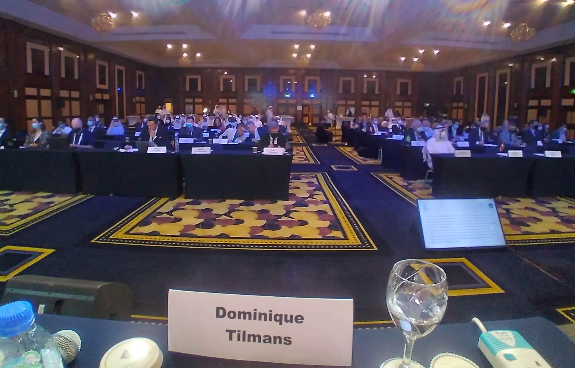 IAF - 11th IAF International Meeting for Members of Parliaments 6 July 2021 IAF - 11th IAF International Meeting for Members of Parliaments 6 July 2021